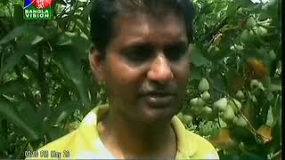 Farmer Mamunur Rashid of Panchbibi upazila of Joypurhat cultivated high yielding Jamrul.