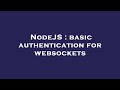 NodeJS : basic authentication for websockets