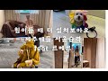 Jeju섬생활12년차🏝| 르메르👗| 악뮤콘서트🎤| 한강폭우러닝🏃🏻‍♂️⛈️| 딩가딩가노래방🎶| 이효리그림구경👩🏻‍🎨| 엄마랑단둘이여행갈래