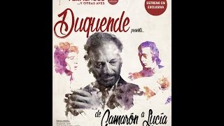 Duquende De Camaron a Lucia . Sala Apolo 7 de Octubre 2016