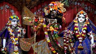 Parama Karuna Puhu Duijana || পরম করুণ পহু দুই জন নিতাই গৌরচন্দ্র || Mayapur iskcon