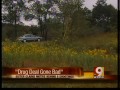 5 deaths in laurel ind.