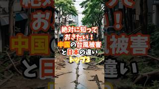 中国の台風被害と日本の違いトップ3#中国 #台風#日本