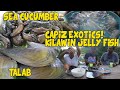 EXOTIC FOODS OF CAPIZ | KINILAW NA JELLY FISH, PISOTAN AT TALAB