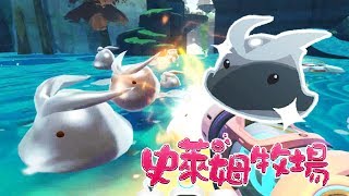 史萊姆牧場★抓快銀，結晶落地就融化？★88★Slime Rancher