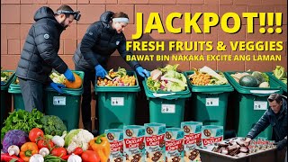 Dumpster Diving (Germany) : JACKPOT !!! FRESH FRUITS AND VEGGIES