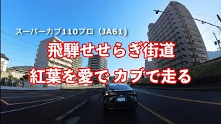 【スーパーカブ110プロ】飛騨せせらぎ街道　紅葉を愛で カブで走る