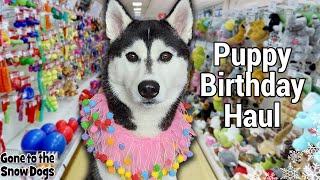 Husky Puppy FIRST Birthday Shopping Spree | Petsmart Haul