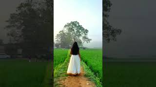 kovilil pular velayil whatsapp status || sreeragamo whatsapp status || Cute Traditional Kerala Girl