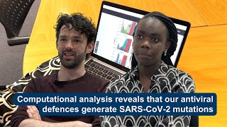 Computational analysis reveals that our antiviral defences generate SARS-CoV-2 mutations