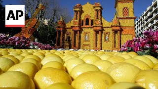 The prized Menton lemon faces an uncertain future