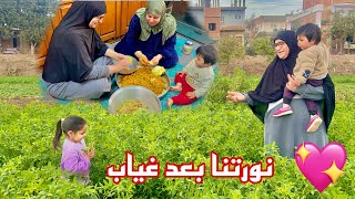 حبيبتنا نورتنا وفرحت الأحفاد بيها واحلى خضار من الارض علشان المحشى المخصوص 🥰🥰😋