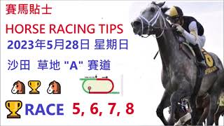 🏆「賽馬貼士」🐴2023年 5 月 28 日💰 星期日  😁 沙田 香港賽馬貼士💪 HONG KONG HORSE RACING TIPS🏆 RACE  5  6  7  8   😁