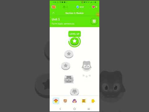 Me perdí mi lección de Duolingo