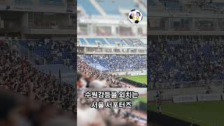 수원강등을 외치는 서울 서포터즈 #수원강등#FC서울#슈퍼매치