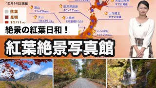 晴れの土曜日 紅葉日和