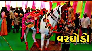 varghodo | live varghodo| gujarati varghodo | વરઘોડો | ghodi dance