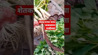 शेतकऱ्याच्या घरचा ताजातवाना भाजीपाला#गावाकडचास्वाद #shortvideo #