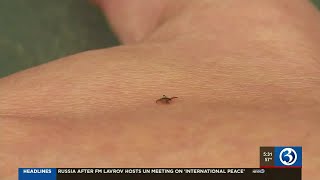 Avoiding a rising tick population