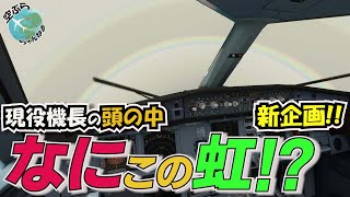 【新企画!!】普段では決して見られない！現役機長はコックピットで何を考えているのか？空港への降下進入編としてパイロットのコックピットでの様子を映像にしてみた!!【MSFS2020】