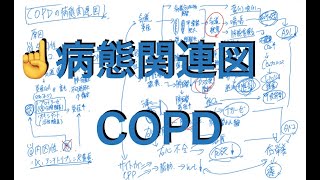 COPD病態関連図