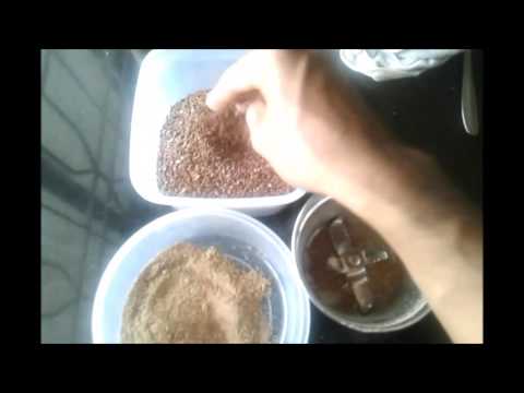 HEALTHIEST WAY OF CONSUMING FLAX SEEDS for Weight Loss, Reversing Diabetes & Heart Disease HEALTHIEST WAY OF CONSUMING FLAX SEEDS for Weight Loss, Reversing Diabetes & Heart Disease