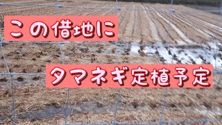 【淡路島で農家の嫁】お借りする田にタマネギを定植予定◇見学です◇20/10/23