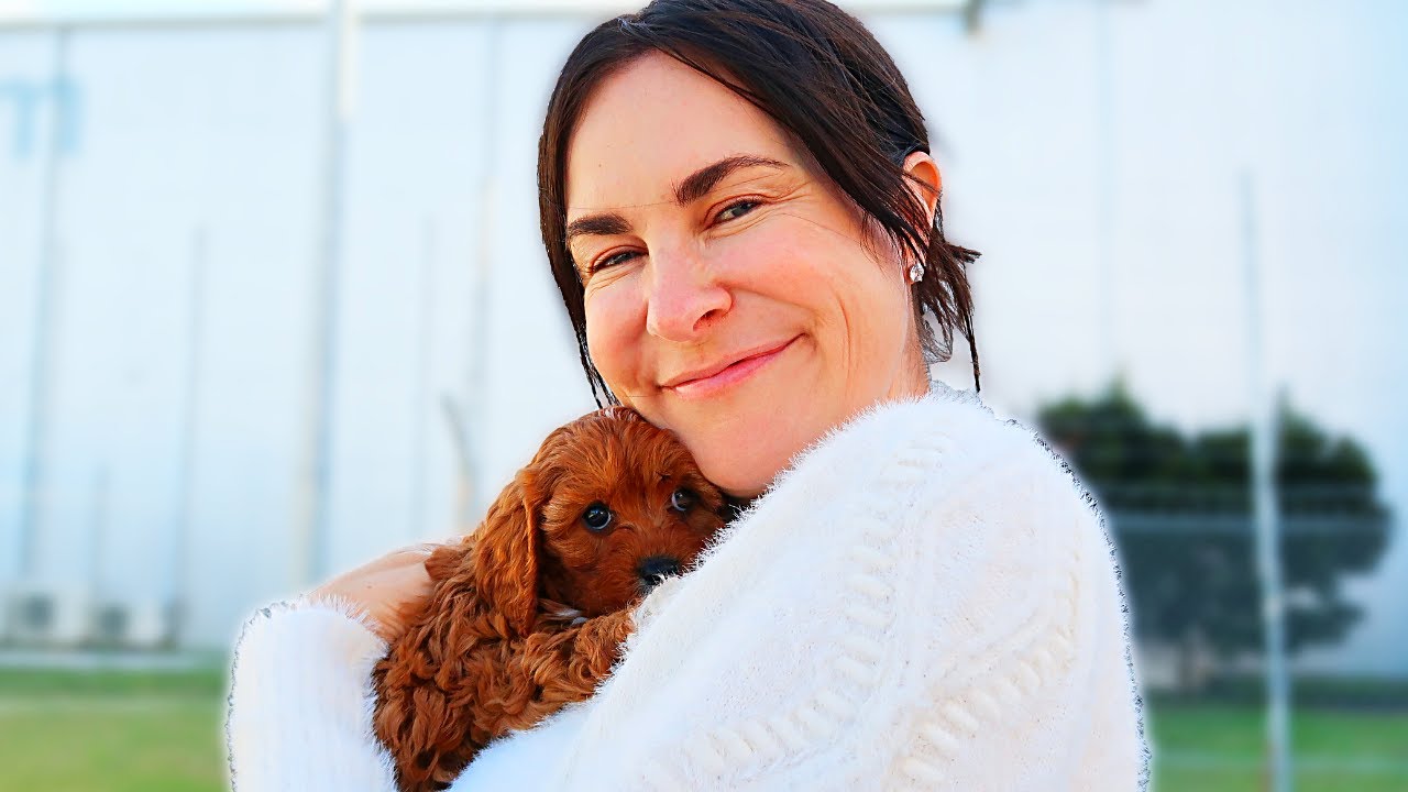 Meeting Our New Puppy Youtube