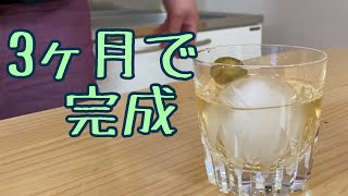 【飲み過ぎ注意！】アレを使って梅酒を作ったらまろみが深すぎた（梅酒の作り方）