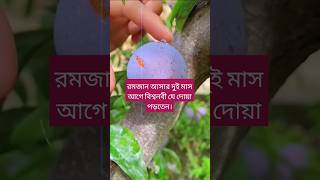 রমজান আসার দুই মাস আগে বিশ্বনবী যে দোয়া পড়তেন। #mizanur_rahman_azhari​ #shorts​ #annafs​