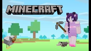 Modding Minecraft till my computer explodes.