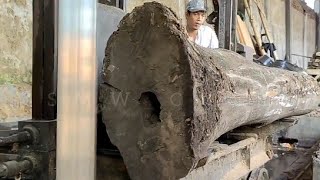terkubur hingga 100 tahun ??sekeras batu kayu tua menggemparkan penggergajian kayu bandsaw hangus