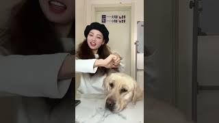 🐶：不吃饭你跳个dei啊！ 一人一狗俩逗比 抖音动物图鉴 原创视频 忧郁的眼神 日常逗比