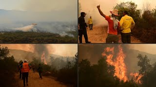 Firefighters douse raging forest fire in Morocco's Larache region | AFP