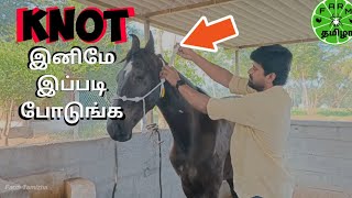 Horsemanship Workshop | God Clinton Horsemanship Training - Vellore | Day 1 | Horse Training Tips