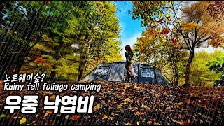 우중캠핑 행복 단풍캠핑 미친 바베큐 빗소리 asmr 1박 아쉬워 지프 익스플로러 차박 car camping