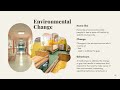 Dementia-Friendly Environmental Design Basic Pt 1: Dementia-Friendly Environmental Design Principles