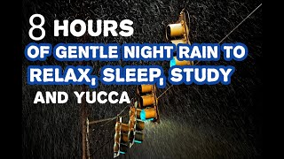 8 hours of gentle night rain to relax, sleep, study and yucca