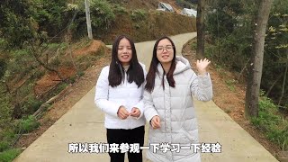 表哥投资六七十万搞养殖，光车子就买了四辆，小婷和小七羡慕不已