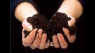 Athens Clarke County Compost Webinar