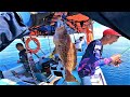 JIGGING waktu IKAN CULAS || Hampir KUMPAU || Fishing in BORNEO || Vlog 103