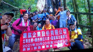 【北部郊山】深入步道探訪巨大神木，北得拉曼、鎮西堡，悠閒漫步霞喀羅綠色林道。(業紘企業)