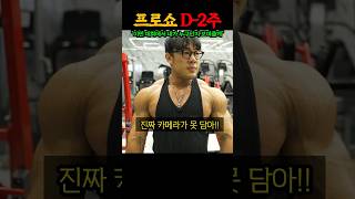 대회 2주 남은 IFBB 프로 역대급 몸상태 대공개 ㅎㄷㄷ (feat. 212 원종윤, 오픈 김영범)