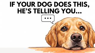 Your dog does this every day and you are interpreting it WRONG.