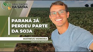 Seca severa no Paraná já tirou, pelo menos, 2,5 milhões de toneladas de soja do estado