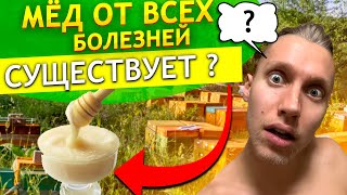 Самый ПОЛЕЗНЫЙ мед существует ? Как ПРАВИЛЬНО выбрать мед ? Что влияет на качество хорошего меда ?