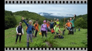 麥徑過元荃古道(影片分享)2017年7月3日