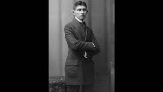 Franz Kafka - Proměna