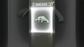 Nincada: a ground type Pokémon