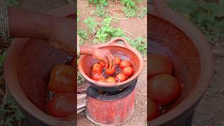 Tomato Chutney l Viral Tomato Chutney Recipe #shorts #viral